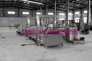 諸城市大洋食品機械推出全新高效油炸生產線，引領食品加工設備性能新標桿